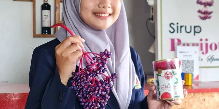 Sirup parijoto menjadi salah satu oleh-oleh khas Kudus yang patut dibawa pulang untuk keluarga
