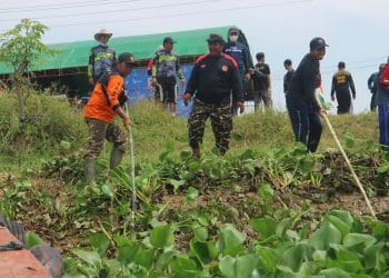 Profil Komunitas Jampisawan Setia Advokasi Kelestarian Sungai Juwana