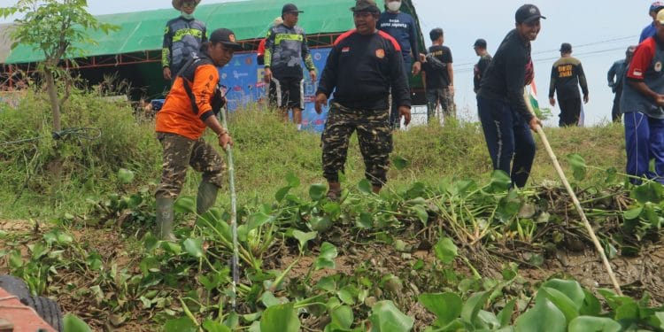 Profil Komunitas Jampisawan Setia Advokasi Kelestarian Sungai Juwana