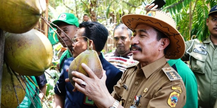 Kelapa kopyor khas Pati