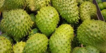 Iustrasi buah sirsak yang memiiki manfaat kesehatan.