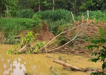 TangguI jeboI penyebab banjir.