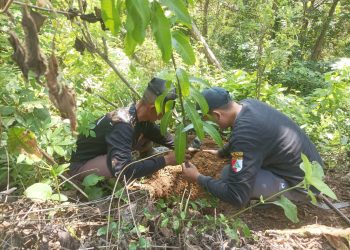 Kegiatan penanaman pohon untuk mencegah bencana banjir dilakukan di wilayah hutan Morotopo, Wateshaji, Pucakwangi, Pati.