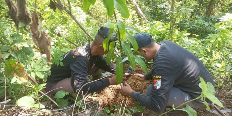 Kegiatan penanaman pohon untuk mencegah bencana banjir dilakukan di wilayah hutan Morotopo, Wateshaji, Pucakwangi, Pati.