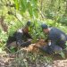 Kegiatan penanaman pohon untuk mencegah bencana banjir dilakukan di wilayah hutan Morotopo, Wateshaji, Pucakwangi, Pati.