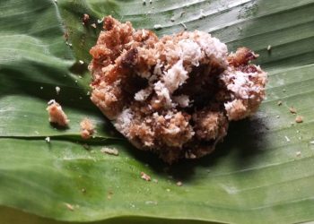 Menyantap Tiwul, Kuliner Jadul untuk Keanekaragaman Pangan