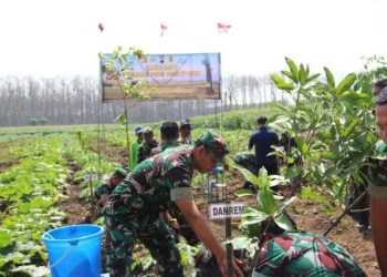 Kegiatan penanaman pohon yang dilakukan oleh jajaran Kodim Pati di area hutan Regaloh Tlogowungu Pati.