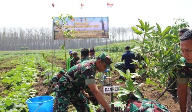 Kegiatan penanaman pohon yang dilakukan oleh jajaran Kodim Pati di area hutan Regaloh Tlogowungu Pati.