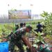 Kegiatan penanaman pohon yang dilakukan oleh jajaran Kodim Pati di area hutan Regaloh Tlogowungu Pati.