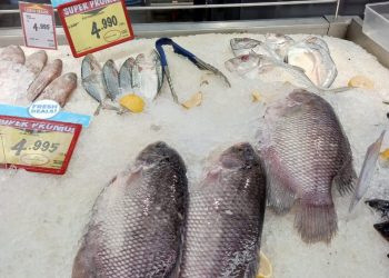 Tiga Cara Mudah Memilih Ikan Segar di Pasar