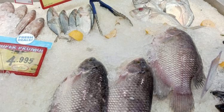 Tiga Cara Mudah Memilih Ikan Segar di Pasar