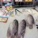 Tiga Cara Mudah Memilih Ikan Segar di Pasar