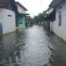 Kondisi banjir di Desa Tunggulsari Kecamatan Tayu, masyarakat masih minim mendapat bantuan.
