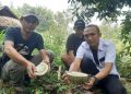Durian tumbu dari Rembang yang legit dan lezat.