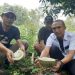 Durian tumbu dari Rembang yang legit dan lezat.