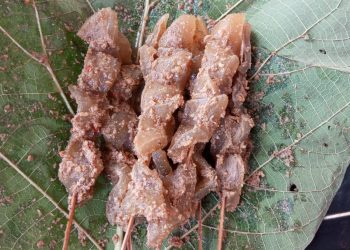 Sate cecek alias sate kikil khas Kota Jepara.