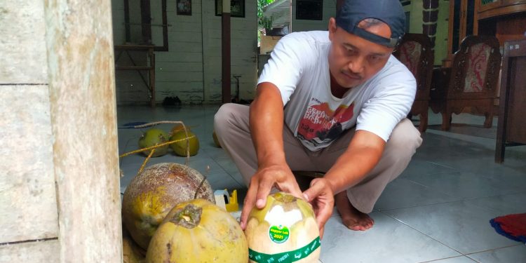 DPRD Pati Minta Pemkab Beri Pembinaan untuk Sektor Perkebunan
