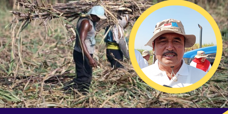 Anggota DPRD Pati H. Kamari Ungkap Konsep Petani Milenial dan Tantangan Mekanisasi
