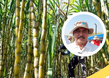 DPRD Pati H. Kamari Ungkap Prospek Pertanian Tebu di Pati