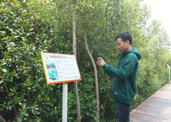 Ketua DPRD Pati Dorong Pelestarian Kawasan Pesisir