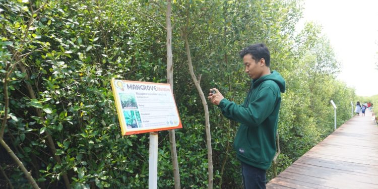 Ketua DPRD Pati Dorong Pelestarian Kawasan Pesisir