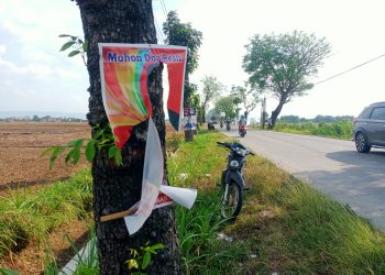 Baliho Paslon Pilkada Pati Nomor 2 Diduga Dirusak, Wahyu-Suharyono Minta Pendukungnya Tetap Tenang