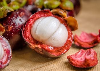 DPRD Pati Dorong Pengembangan Budidaya Manggis di Gunungwungkal