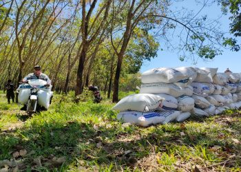 DPRD Pati Narso: Generasi Muda Perlu Dorongan untuk Masuk ke Sektor Pertanian