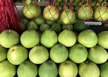 DPRD Pati Ajak Generasi Muda Kembangkan Jeruk Pamelo