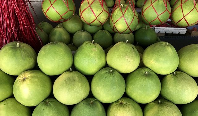 DPRD Pati Ajak Generasi Muda Kembangkan Jeruk Pamelo