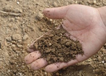 DPRD Pati Dorong Penggunaan Pupuk Kandang untuk Ringankan Beban Petani