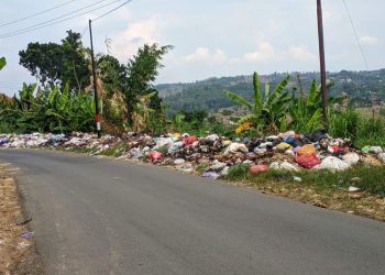 Sampah berserakan di pinggir jalan di wilayah Kabupaten Pati.
