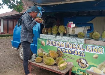 Seorang pedagang durian di Gunungwungkal Pati.