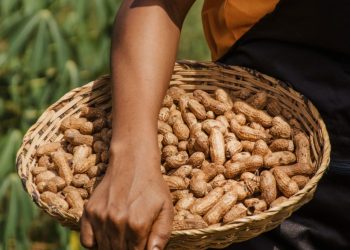 Ketua Komisi B DPRD Pati Dorong Kolaborasi Petani Lokal dan Kalangan Industri