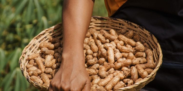 Ketua Komisi B DPRD Pati Dorong Kolaborasi Petani Lokal dan Kalangan Industri