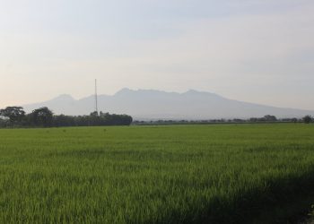 DPRD Pati Desak Pemkab Tangani Serius Suplai Air untuk Lahan Tadah Hujan