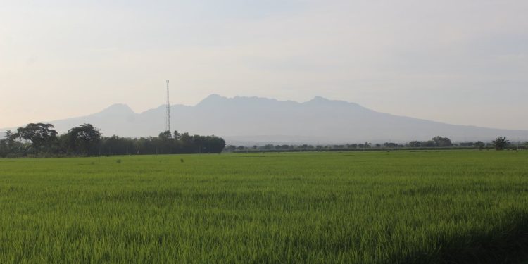 DPRD Pati Desak Pemkab Tangani Serius Suplai Air untuk Lahan Tadah Hujan