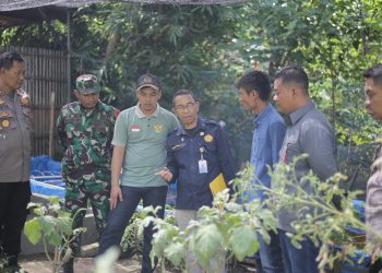 Anggota Komisi B DPRD Pati Sudi Rustanto (dua dari kanan) ikut meninjau pekarangan warga yang ditanami berbagai tanaman.