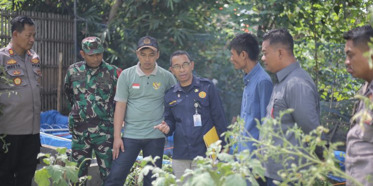 Anggota Komisi B DPRD Pati Sudi Rustanto (dua dari kanan) ikut meninjau pekarangan warga yang ditanami berbagai tanaman.