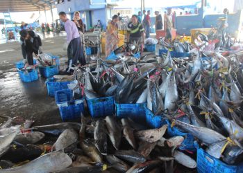 Aktivitas di TPI Juwana beberapa waktu yang lalu.