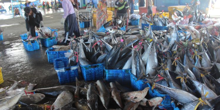 Aktivitas di TPI Juwana beberapa waktu yang lalu.