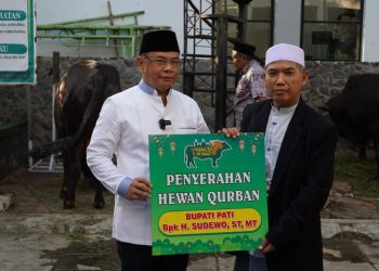 Bupati Pati Serahkan Sapi Kurban ke Masjid Agung Baitunnur