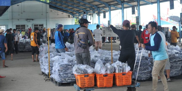 Aktivitas perekonomian di TPI Juwana Pati.