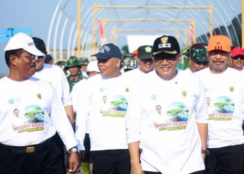 Hari Lingkungan Hidup 2025 : Pemkab Pati Tanam 38 Ribu Mangrove, Cegah Abrasi