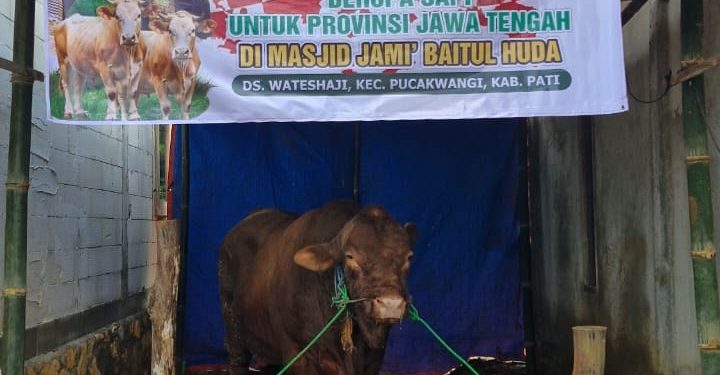 Presiden Prabowo Salurkan Sapi Kurban untuk Desa Terpencil di Pati