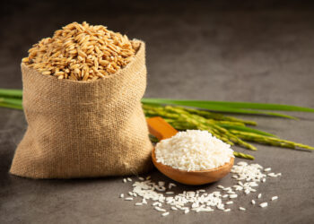 Ilustrasi beras untuk pangan masyarakat.