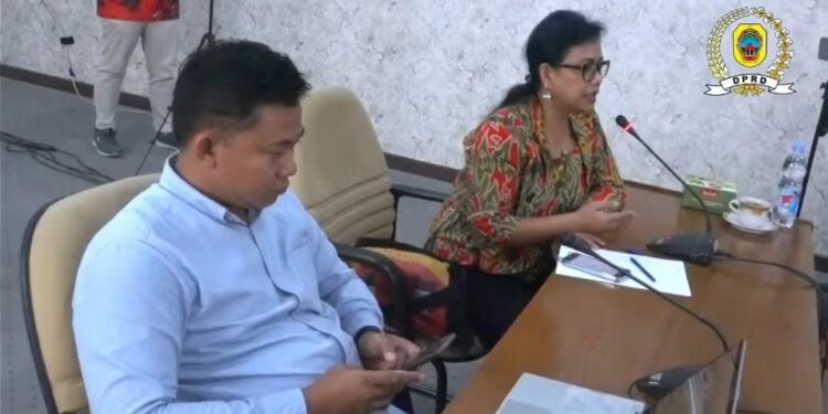 Dua akademisi yang didatangkan pansus hak angket DPRD Pati beberapa waktu lalu akan kembali dimintai pendapatnya.