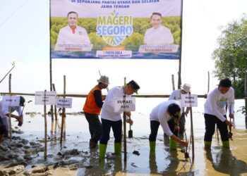 Komisi B DPRD Pati Dukung Penuh Program Penanaman Mangrove di Banyutowo