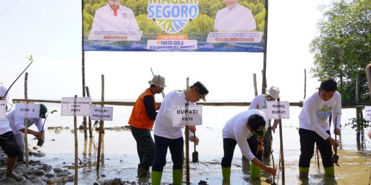 Komisi B DPRD Pati Dukung Penuh Program Penanaman Mangrove di Banyutowo