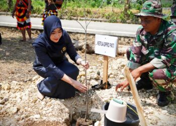 Anggota Komisi C DPRD Kabupaten Pati, Siti Maudlu’ah menghadiri kegiatan TMMD di Sukolilo.